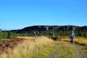 Wannies walk 18 09 2024