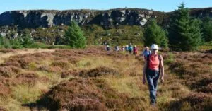 Wannies walk 18 09 2024