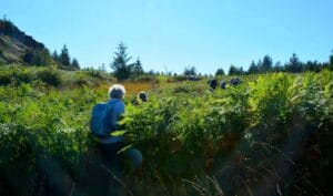 Wannies walk 18 09 2024