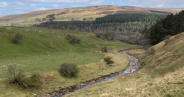 Walk 18: Trail to Tutman’s Hole