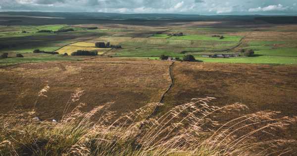 Walk 21: Pennine Way – Day 1 Bellingham – Housesteads