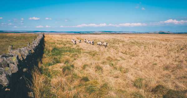 Walk 25: Pennine Way – Day 3 Greenhead to Haltwhistle
